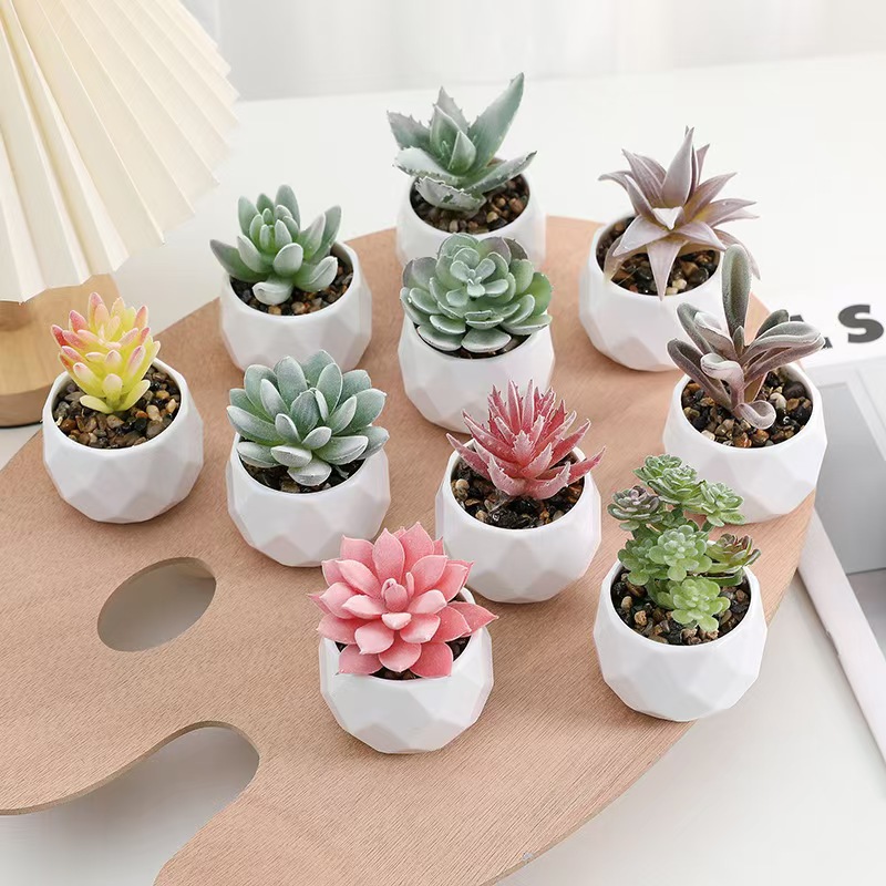 Mini Artificial Plants Simulat - Cactus Mix Pot recension och pris