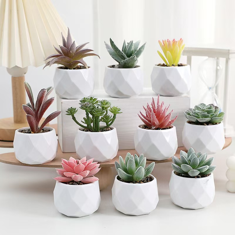 Mini Artificial Plants Simulat - Cactus Mix Pot recension och pris