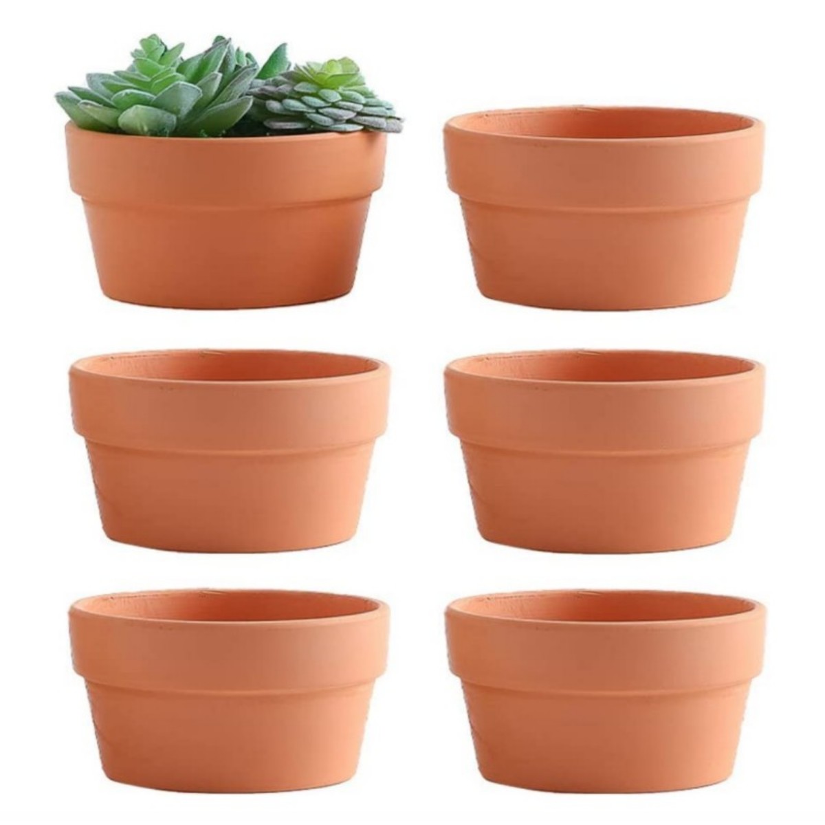 6 PCS Terracotta Buld Pots 3.5 - Cactus Mix Pot recension och pris