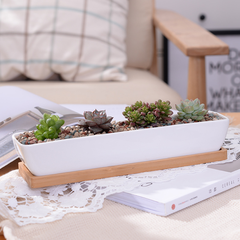 Long Rectangle White Ceramic S - Cactus Mix Pot recension och pris