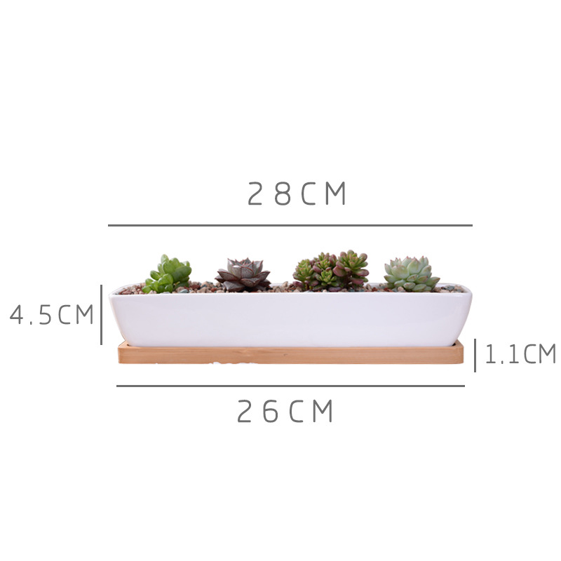 Long Rectangle White Ceramic S - Cactus Mix Pot recension och pris