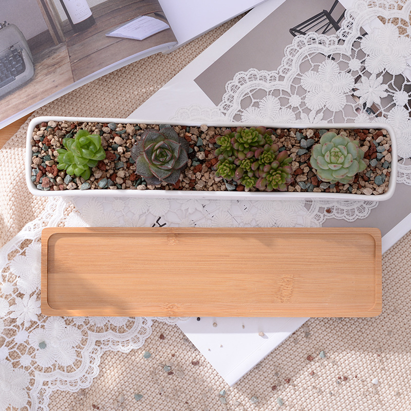 Long Rectangle White Ceramic S - Cactus Mix Pot recension och pris