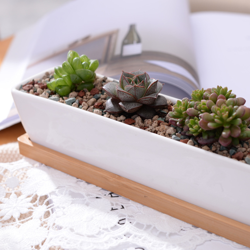 Long Rectangle White Ceramic S - Cactus Mix Pot recension och pris