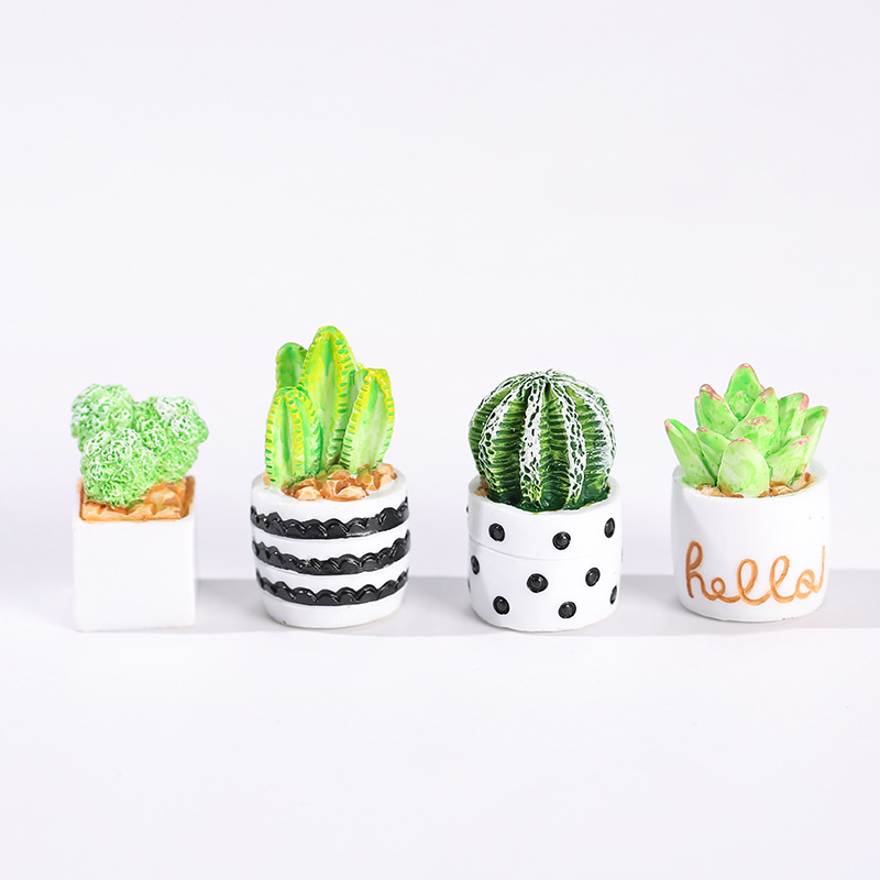 4pcs/Set Of Mini Succulent Pot - Cactus Mix Pot recension och pris