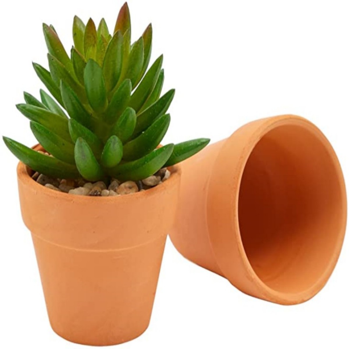 16 Pcs 1.8'' Terra Cotta Pots  - Cactus Mix Pot recension och pris