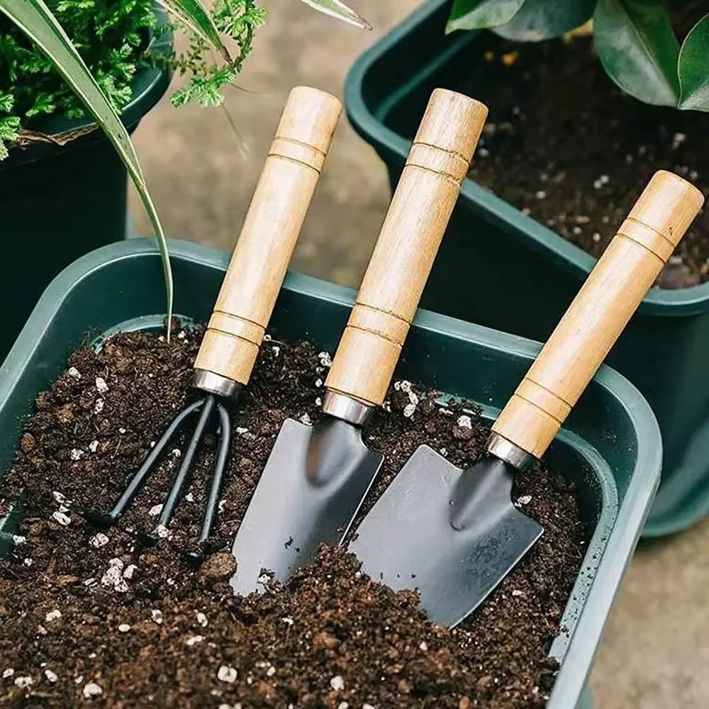 3Pcs/Set Mini Garden Tool Set  - Cactus Mix Pot recension och pris