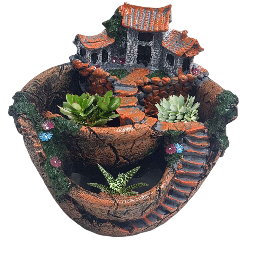 Succulent Pot Vintage Multi Po - Cactus Mix Pot recension och pris