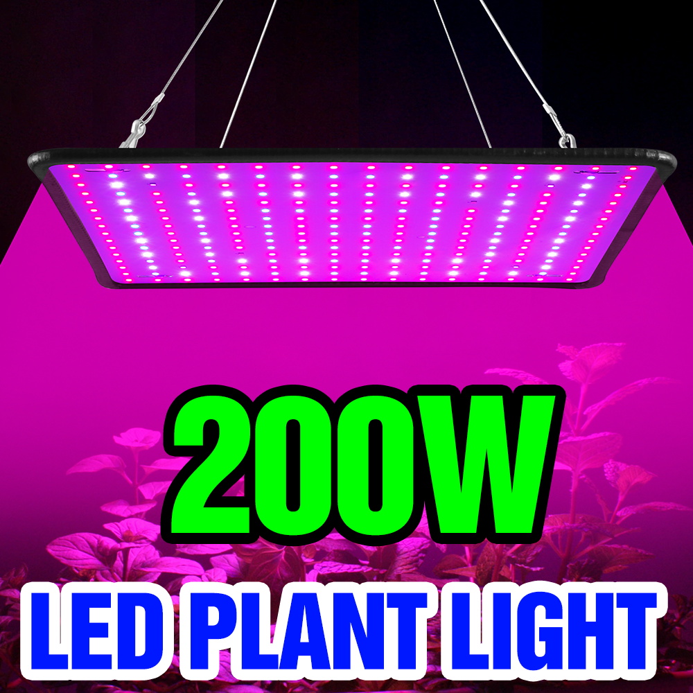 200W LED Quantum Board Grow Li - Cactus Mix Pot recension och pris