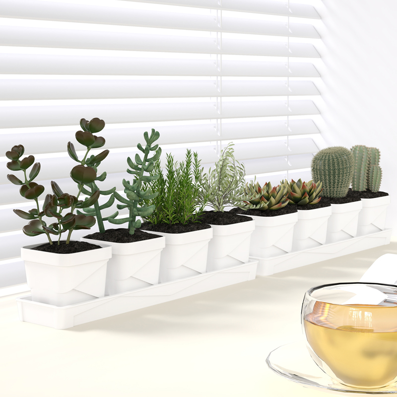 Nordic Minimalist Succulent Po - Cactus Mix Pot recension och pris