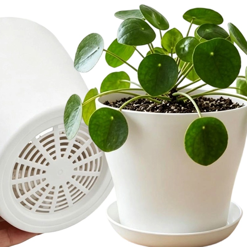 Plant Pot Set with Drainage Ho - Cactus Mix Pot recension och pris