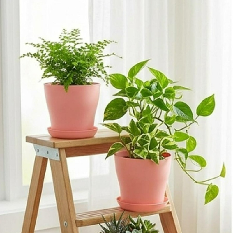 Plant Pot Set with Drainage Ho - Cactus Mix Pot recension och pris