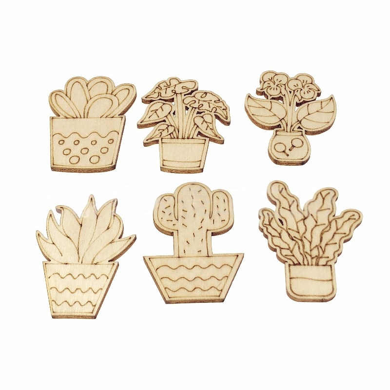 50PCS Mixed Styles Flower Cact - Cactus Mix Pot recension och pris