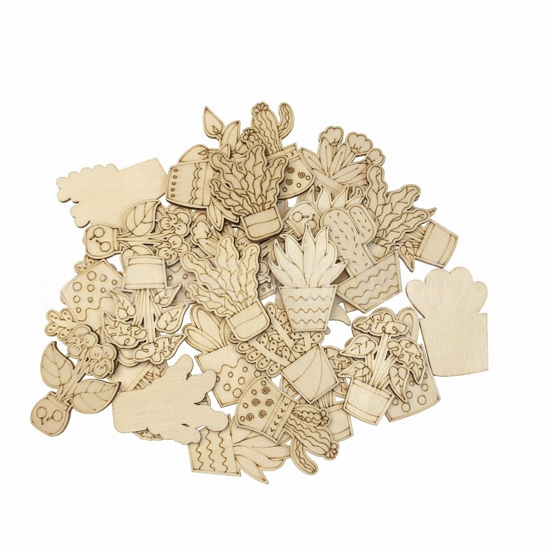 50PCS Mixed Styles Flower Cact - Cactus Mix Pot recension och pris