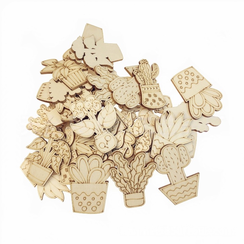 50PCS Mixed Styles Flower Cact - Cactus Mix Pot recension och pris